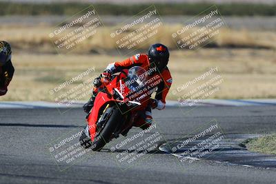media/Oct-29-2023-Carters at The Track (Sun) [[b2bb4383ab]]/B Plus/1020am (Sunrise)/